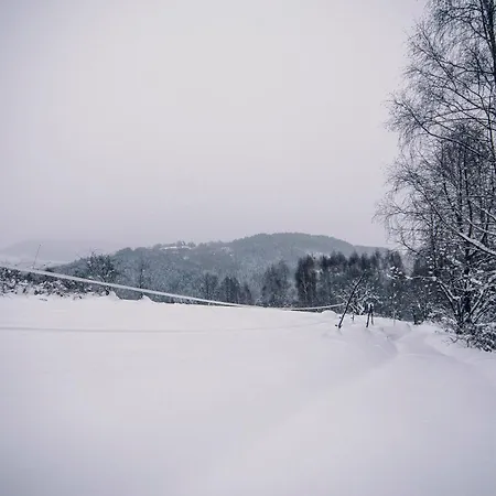 Zacisze Krzeszow Chalet *