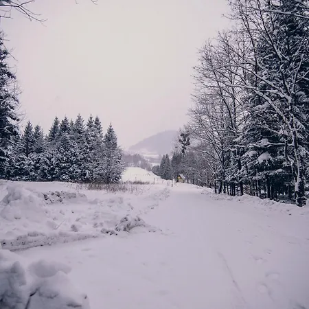 Zacisze Krzeszow