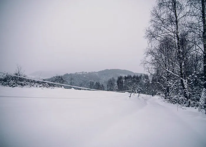 Zacisze Krzeszow בקתה *